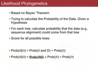 Prob Tree Simple EVE161: Microbial Phylogenomics - Class 4 - Phylogeny | PDF
