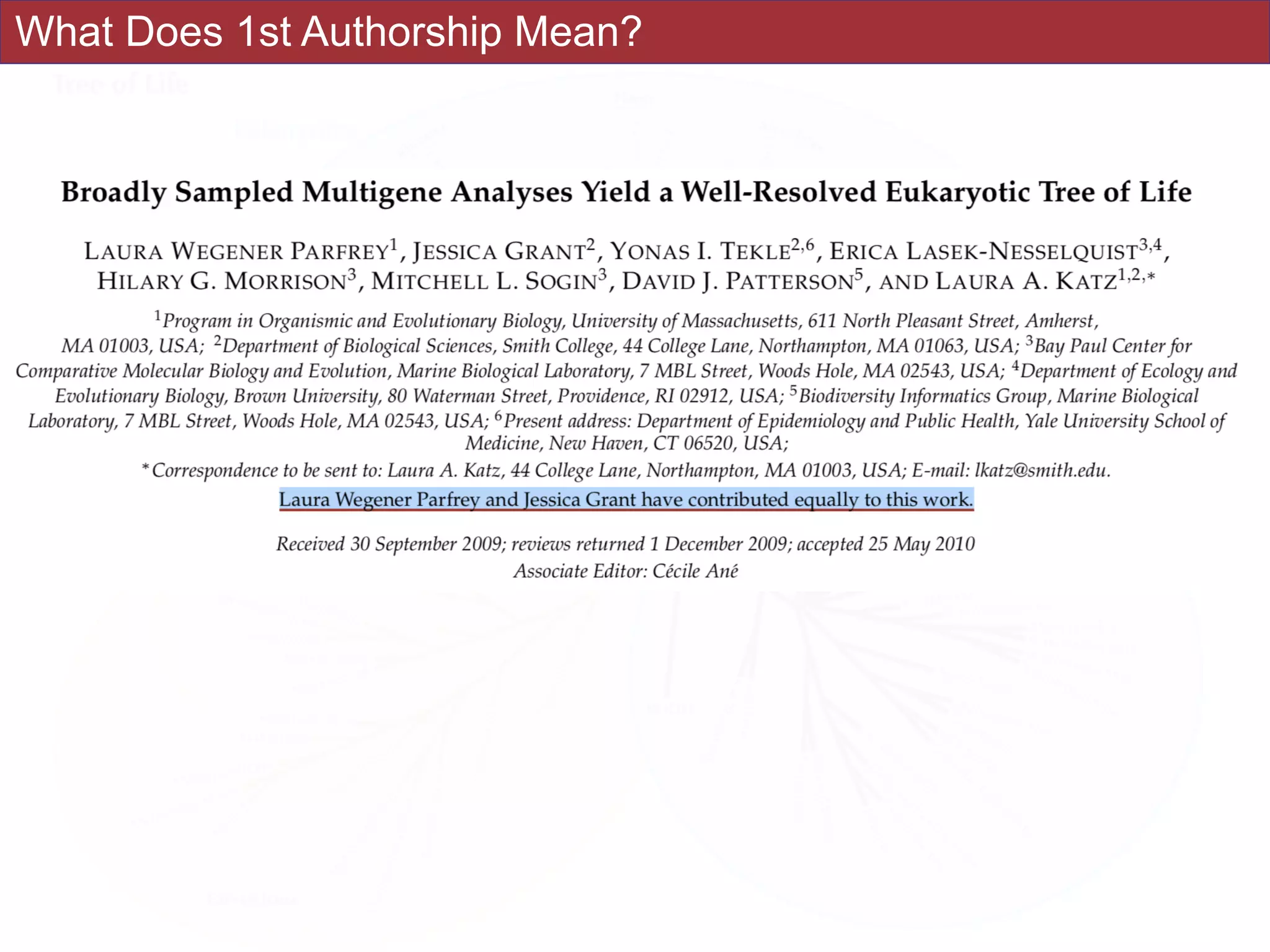 What Does 1st Authorship Mean?
 