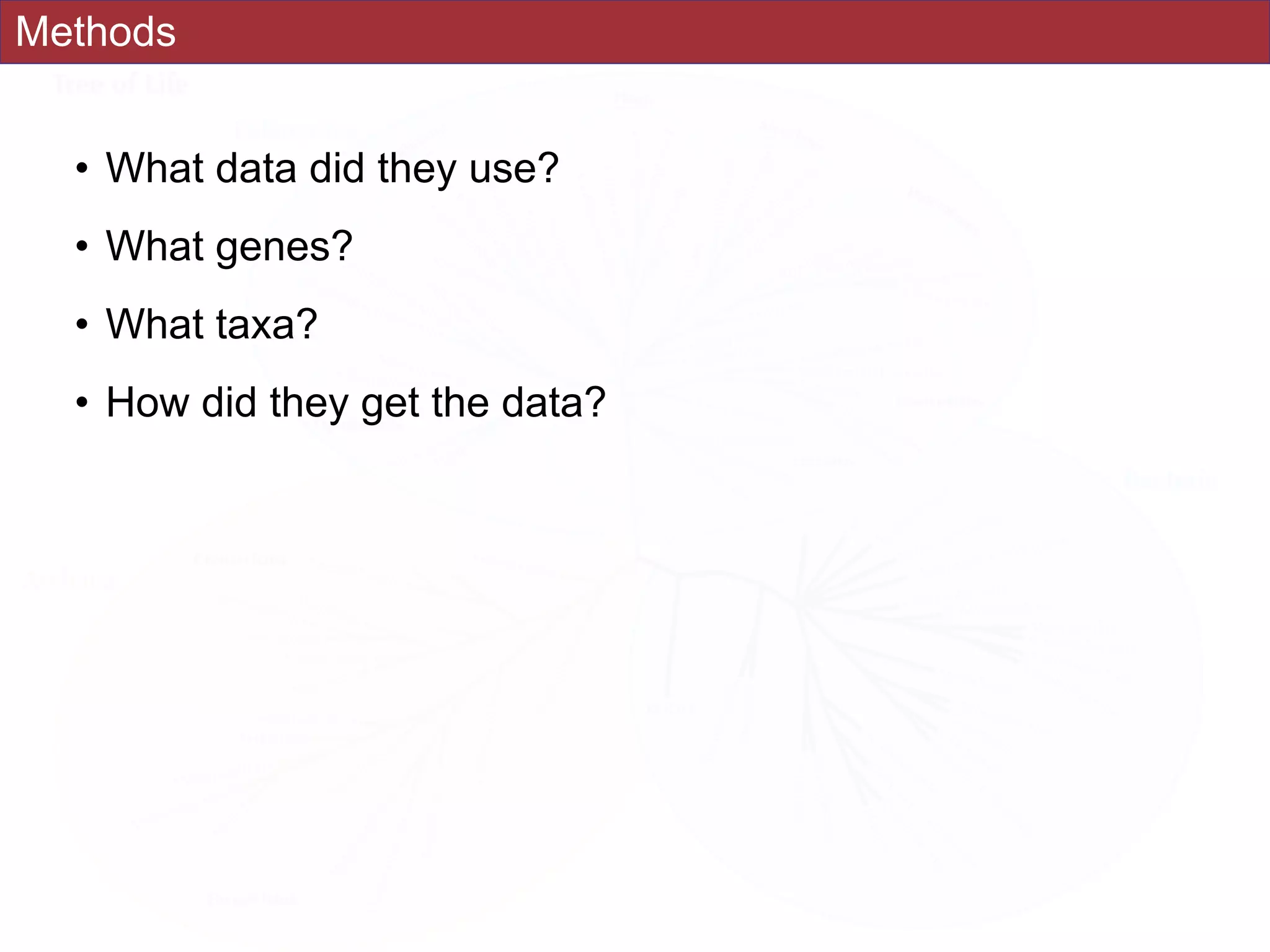 Methods
• What data did they use?
• What genes?
• What taxa?
• How did they get the data?
 