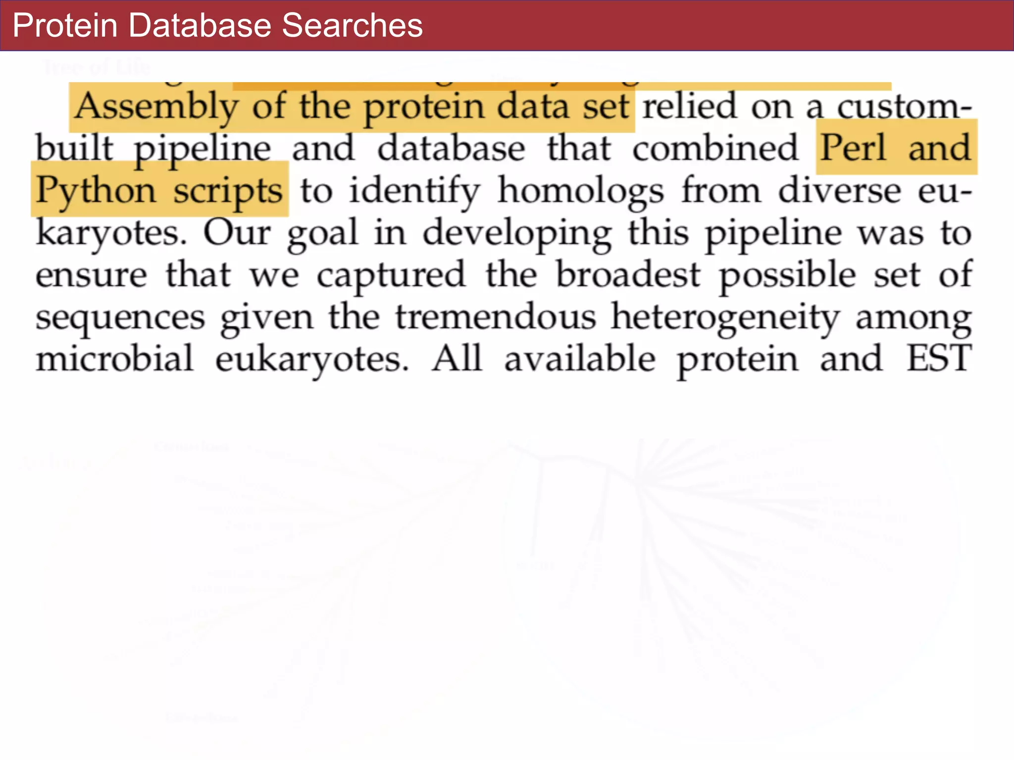 Protein Database Searches
 
