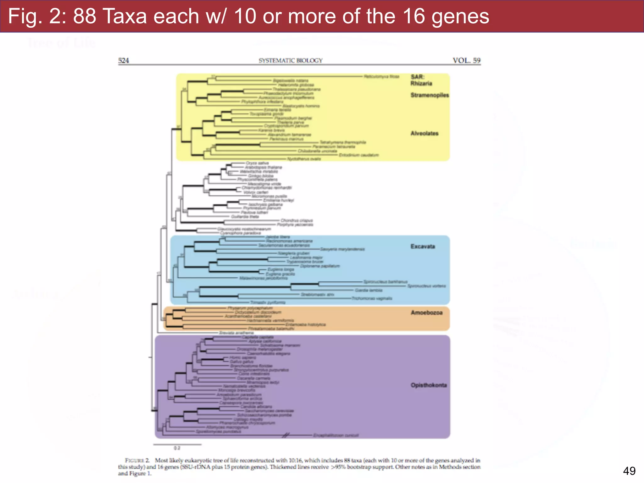 Fig. 2: 88 Taxa each w/ 10 or more of the 16 genes
!49
 