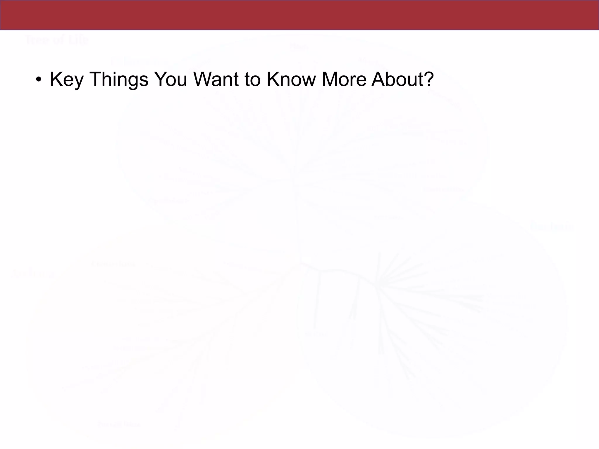 • Key Things You Want to Know More About?
 