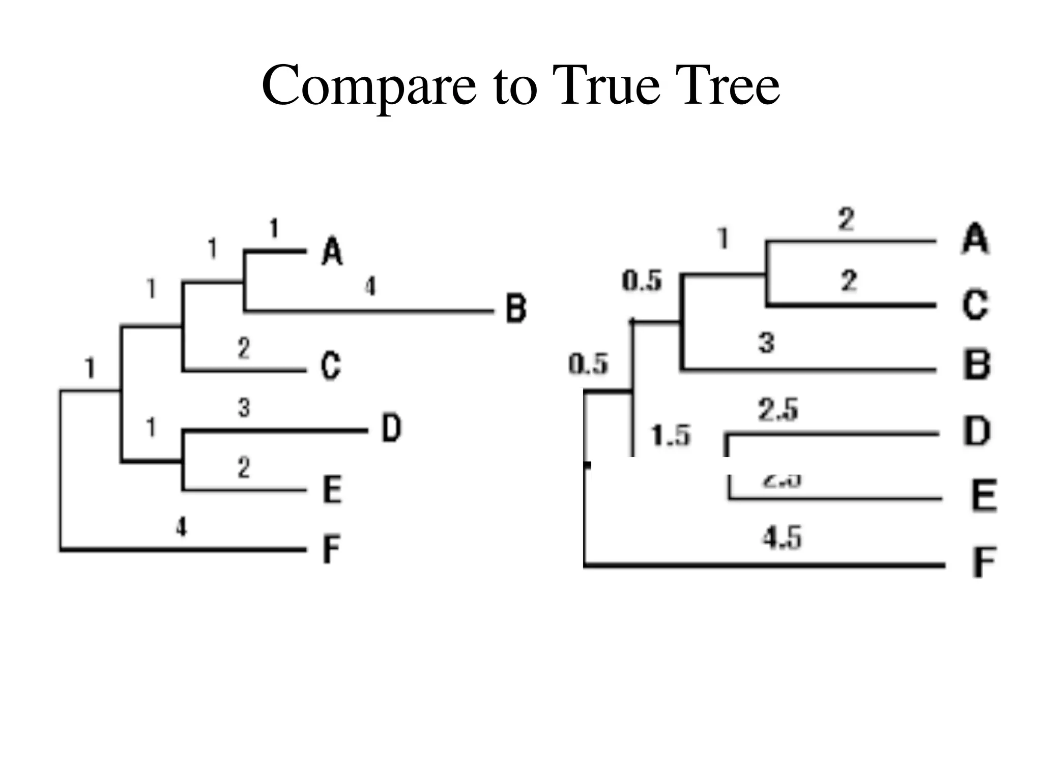 Compare to True Tree
 