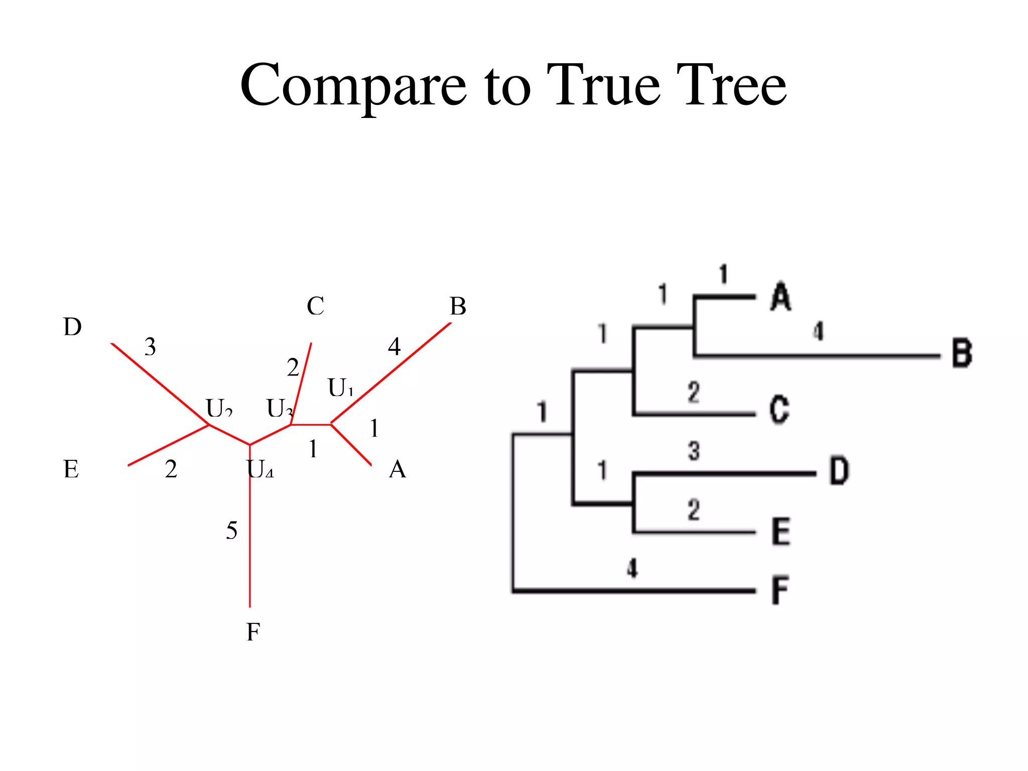 Compare to True Tree
C
D
E
F
U1
B
A
4
1
U2
3
2
2
1
U3
U4
5
 