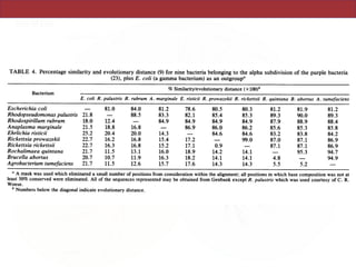 Factoring in the multicistronic nature of rRN'
(seven copies in E. coli) (10) contributes to e,
target numbers available for gene amplification.
Lyophilized ampoules of various types fromC
were selected to examine their potential to yield.I
would initiate 16S rDNA amplification. DNAs
ATCC double-vial and single-vial preparations w
as described in Materials and Methods. The follo,
4A operons quence revealed one discrepancy within 1,517 bases as
ven greater compared with an RNA sequence (unpublished data), re-
solved in favor of the clone sequence, on the basis of
diverse taxa sequence composition of related species at this position. In
DNA which addition, seven unresolved nucleotide assignments (Ns)
from both from within the sequenceable region of the rRNA sequence
'ere purified were determined from the clone, and several other bases
wing strains were determined from the 3' end of the rRNA. (Approxi-
TABLE 4. Percentage similarity and evolutionary distance (9) for nine bacteria belonging to the alpha subdivision of the purple bacteria
(23), plus E. coli (a gamma bacterium) as an outgroupa
% Similarity/evolutionary distance (x 100)"
Bacterium
E. coli R. palustris R. rubrum A. marginale E. risticii R. prowazekii R. rickettsii R. quintana B. abortus A. tumefaciens
Escherichia coli 81.0 84.0 81.2 78.6 80.5 80.3 81.2 81.9 81.2
Rhodopseudomonas palustris 21.8 - 88.5 83.3 82.1 85.4 85.3 89.3 90.0 89.3
Rhodospirillum rubrum 18.0 12.4 84.9 84.9 84.9 84.9 87.9 88.9 88.4
Anaplasma marginale 21.5 18.8 16.8 86.9 86.0 86.2 85.6 85.3 85.8
Ehrlichia risticii 25.2 20.4 20.0 14.3 84.6 84.6 83.2 83.8 84.2
Rickettsia prowazekii 22.7 16.2 16.8 15.4 17.2 99.0 87.0 87.1 86.9
Rickettsia rickettsii 22.7 16.3 16.8 15.2 17.1 0.9 87.1 87.1 86.9
Rochalimaea quintana 21.7 11.5 13.1 16.0 18.9 14.2 14.1 95.3 94.7
Brucella abortus 20.7 10.7 11.9 16.3 18.2 14.1 14.1 4.8 - 94.9
Agrobacterium tumefaciens 21.7 11.5 12.6 15.7 17.6 14.3 14.3 5.5 5.2
a
A mask was used which eliminated a small number of positions from consideration within the alignment; all positions in which base composition was not at
least 50% conserved were eliminated. All of the sequences represented may be obtained from Genbank except R. palustris which was used courtesy of C. R.
Woese.
b Numbers below the diagonal indicate evolutionary distance.
 