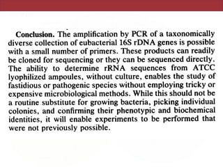 rDNA-like sequence), readily amplified and transcribed full-
length pseudo-rRNA. This material can be used for sequenc-
ing, hybridization studies (data not shown), or potentially for
reconstitution experiments.
Conclusion. The amplification by PCR of a taxonomically
diverse collection of eubacterial 16S rDNA genes is possible
with a small number of primers. These products can readily
be cloned for sequencing or they can be sequenced directly.
The ability to determine rRNA sequences from ATCC
lyophilized ampoules, without culture, enables the study of
fastidious or pathogenic species without employing tricky or
expensive microbiological methods. While this should not be
a routine substitute for growing bacteria, picking individual
colonies, and confirming their phenotypic and biochemical
identities, it will enable experiments to be performed that
were not previously possible.
 
