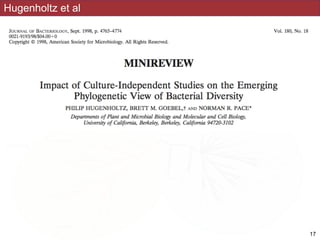 Hugenholtz et al
!17
 