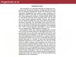 Hugenholtz et al
 