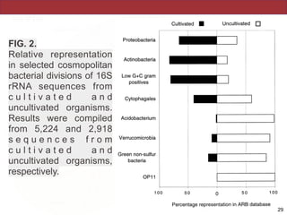 FIG. 2.
Relative representation
in selected cosmopolitan
bacterial divisions of 16S
rRNA sequences from
c u l t i v a t e d a n d
uncultivated organisms.
Results were compiled
from 5,224 and 2,918
s e q u e n c e s f r o m
c u l t i v a t e d a n d
uncultivated organisms,
respectively.
!29
 