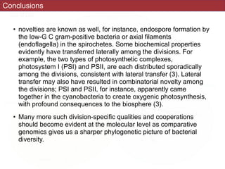 Conclusions
• novelties are known as well, for instance, endospore formation by
the low-G C gram-positive bacteria or axial filaments
(endoflagella) in the spirochetes. Some biochemical properties
evidently have transferred laterally among the divisions. For
example, the two types of photosynthetic complexes,
photosystem I (PSI) and PSII, are each distributed sporadically
among the divisions, consistent with lateral transfer (3). Lateral
transfer may also have resulted in combinatorial novelty among
the divisions; PSI and PSII, for instance, apparently came
together in the cyanobacteria to create oxygenic photosynthesis,
with profound consequences to the biosphere (3).
• Many more such division-specific qualities and cooperations
should become evident at the molecular level as comparative
genomics gives us a sharper phylogenetic picture of bacterial
diversity.
 