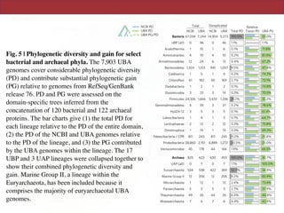 ARTICLES NATURE MI
NCBI UBA NCBI UBA Total PD Taxon PD UBA PG
NCBI PD
UBA PD
UBA PG/PD
Total Dereplicated Relative
Archaea 100.0% 30.7%
UAP (all) 1.1% 100.0%
Euryarchaeota 52.7% 34.8%
Marine Group II 9.2% 85.9%
Micrarchaeota 2.4% 73.4%
Pacearchaeota 2.7% 37.9%
Thaumarchaeota 6.4% 40.8%
Woesearchaeota 4.4% 42.9%
Bacteria 100.0% 33.0%
UBP (all) 1.1% 1.1%
Acetothermia 0.1% 71.8%
Aminicenantes 0.2% 81.0%
Armatimonadetes 0.4% 67.2%
Bacteroidetes 9.5% 47.4%
Caldiserica 0.2% 74.3%
Chloroﬂexi 2.7% 73.1%
Dadabacteria 0.1% 74.8%
Elusimicrobia 0.3% 70.5%
Firmicutes 25.1% 32.2%
Gemmatimonadetes 0.2% 78.6%
Hyd24-12 0.1% 61.4%
Latescibacteria 0.1% 64.7%
Lentisphaerae 0.3% 75.8%
Omnitrophica 0.3% 89.3%
Patescibacteria / CPR 11.2% 25.8%
Proteobacteria 20.5% 25.0%
Verrucomicrobia
825 623 630 453
0 7 0 7
534 538 422 369
12 206 12 206
1 12 1 12
5 3 5 3
49 26 44 26
7 6 7 6
67,034 7,244 14,304 5,273
0 46 0 46
1 10 1 6
4 10 4 10
12 24 6 13
1,324 1,513 941 1,057
1 5 1 4
61 182 50 169
1 2 1 2
3 23 3 14
24,326 1,666 3,433 1,296
4 39 3 37
3 5 3 5
1 4 1 3
2 12 2 12
1 14 1 14
811 245 811 245
28,860 2,101 4,889 1,272
45 178 44 166 1.9% 65.5%
Fig. 5 | Phylogenetic diversity and gain for select
bacterial and archaeal phyla. The 7,903 UBA
genomes cover considerable phylogenetic diversity
(PD) and contribute substantial phylogenetic gain
(PG) relative to genomes from RefSeq/GenBank
release 76. PD and PG were assessed on the
domain-speciﬁc trees inferred from the
concatenation of 120 bacterial and 122 archaeal
proteins. The bar charts give (1) the total PD for
each lineage relative to the PD of the entire domain,
(2) the PD of the NCBI and UBA genomes relative
to the PD of the lineage, and (3) the PG contributed
by the UBA genomes within the lineage. The 17
UBP and 3 UAP lineages were collapsed together to
show their combined phylogenetic diversity and
gain. Marine Group II, a lineage within the
Euryarchaeota, has been included because it
comprises the majority of euryarchaeotal UBA
genomes.
 