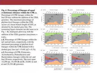 ARTINATURE MICROBIOLOGY
c rps16 d rps23
f bac120e rps16
a bac120 b bac120
3,270
100
80
60
40
20
0
100
80
60
40
20
0
0.0
Lineages(%)
Lineages(%)
0.2 0.4 0.6
Mean branch length (substitutions per site) Mean branch length (substitutions per site)
0.8 1.0 1.2 0.0 0.2 0.4 0.6 0.8 1.0 1.2
1,282
583
279
Number of lineages Number of lineages
133
68
68
291
616
1,162
2,646
34
12
2
5,107
1,927
821
867
1,735
4,150
357
379
151
76
76
36
14
3
Phylum
Class
Order
Family
Genus
Other bacteriaUBA exclusive CPR UBA exclusive CPR
100
80
60
40
20
0
0.0
Lineages(%)
0.2 0.4 0.6
Mean branch length (substitutions per site)
0.8 1.0
3,454
1,197
476
Number of lineages
179
67
71
475
924
2,031
4,187
27
5
Phylum
Class
Order
Family
Genus
100
80
60
40
20
0
0.0
Lineages(%)
0.2 0.4 0.6
Mean branch length (substitutions per site)
0.8 1.0
3,209
1,064
411
Number of lineages
160
67
69
449
845
1,872
4,422
22
3
Phylum
Class
Order
Family
Genus
100
80
60
40
20
0
0.0
Lineages(%)
0.2 0.4 0.6
Mean branch length (substitutions per site)
0.8 1.0
3,454
1,197
476
Number of lineages
179
67
71
475
924
2,031
4,187
27
5
Phylum
Class
Order
Family
Genus
Other bacteria
Bacteroidetes
Proteobacteria
Actinobacteria
Firmicutes
CPR
100
80
60
40
20
0
0.0
Lineages(%)
0.2 0.4 0.6
Mean branch length (substitutions per site)
0.8 1.0 1.2
5,107
1,927
357
821
Number of lineages
151
76
76
379
867
1,735
4,150
14
36
3
Phylum
Class
Order
Family
Genus
Phylum
Class
Order
Family
Genus
Fig. 6 | Percentage of lineages of equal evolutionary distance within the CPR. a, Percentage of CPR lineages within the bac120 tree without the
Fig. 6 | Percentage of lineages of equal
evolutionary distance within the CPR. a,
Percentage of CPR lineages within the
bac120 tree without the addition of the UBA
genomes. The maximum percentage of
phylum-level lineages within the CPR
occurs at a mean branch length of 0.85, as
denoted by the dashed grey line. The
remaining ﬁgure elements are the same as in
Fig. 4. b, Analogous plot to a, with the
addition of the UBA genomes (maximum =
0.85). 
c,d, Percentage of CPR lineages within the
rp1 and rp2 trees, respectively, with the
maximum percentage of phylum-level
lineages within the CPR denoted with a
dashed grey line (rp1 = 0.69; rp2 = 0.76)
e,f, Percentage of CPR, Firmicutes,
Actinobacteria, Proteobacteria and
Bacteroidetes lineages within the rp1 and
bac120 trees, respectively. The trees span
14,290 (a), 19,198 (b and f), 18,081 (c and
e) and 18,226 (d) genomes.
 