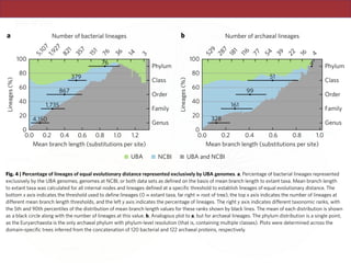 ARICROBIOLOGY
a b5,107
100
80
60
40
20
0
100
529
287
181
116
77
54
51
99
161
328
39
22
16
4
4
80
60
40
20
0
0.0 0.2
Lineages(%)
Lineages(%)
0.4 0.6 0.8 1.0 0.0 0.2
UBA NCBI UBA and NCBI
0.4 0.6 0.8 1.01.2
Phylum
Class
Order
Family
Genus
Phylum
Class
Order
Family
Genus
1,927
1,735
4,150
821
867
357
379
151
76
76
36
14
3
Number of bacterial lineages Number of archaeal lineages
Mean branch length (substitutions per site) Mean branch length (substitutions per site)
e of lineages of equal evolutionary distance represented exclusively by UBA genomes. a, Percentage of bacterial lineag
UBA genomes, genomes at NCBI, or both data sets as defined on the basis of mean branch length to extant taxa. Mean
s calculated for all internal nodes and lineages defined at a specific threshold to establish lineages of equal evolutionary
cates the threshold used to define lineages (0 = extant taxa, far right = root of tree), the top x axis indicates the number
anch length thresholds, and the left y axis indicates the percentage of lineages. The right y axis indicates different taxono
percentiles of the distribution of mean branch length values for these ranks shown by black lines. The mean of each dist
long with the number of lineages at this value. b, Analogous plot to a, but for archaeal lineages. The phylum distribution
ota is the only archaeal phylum with phylum-level resolution (that is, containing multiple classes). Plots were determine
rees inferred from the concatenation of 120 bacterial and 122 archaeal proteins, respectively.
ARTICLESNATURE MICROBIOLOGY
representative within the Micrarchaeota (Micrarchaeum acidiphi-
lum ARMAN-2) from 84% complete to 91% complete, while add-
the phylogenetic diversity of bacterial and archaeal genome trees
by >30% through the addition of 7,280 bacterial and 623 archaeal
a b5,107
100
80
60
40
20
0
100
529
287
181
116
77
54
51
99
161
328
39
22
16
4
4
80
60
40
20
0
0.0 0.2
Lineages(%)
Lineages(%)
0.4 0.6 0.8 1.0 0.0 0.2
UBA NCBI UBA and NCBI
0.4 0.6 0.8 1.01.2
Phylum
Class
Order
Family
Genus
Phylum
Class
Order
Family
Genus
1,927
1,735
4,150
821
867
357
379
151
76
76
36
14
3
Number of bacterial lineages Number of archaeal lineages
Mean branch length (substitutions per site) Mean branch length (substitutions per site)
Fig. 4 | Percentage of lineages of equal evolutionary distance represented exclusively by UBA genomes. a, Percentage of bacterial lineages represented
exclusively by the UBA genomes, genomes at NCBI, or both data sets as defined on the basis of mean branch length to extant taxa. Mean branch length
to extant taxa was calculated for all internal nodes and lineages defined at a specific threshold to establish lineages of equal evolutionary distance. The
bottom x axis indicates the threshold used to define lineages (0 = extant taxa, far right = root of tree), the top x axis indicates the number of lineages at
different mean branch length thresholds, and the left y axis indicates the percentage of lineages. The right y axis indicates different taxonomic ranks, with
the 5th and 90th percentiles of the distribution of mean branch length values for these ranks shown by black lines. The mean of each distribution is shown
as a black circle along with the number of lineages at this value. b, Analogous plot to a, but for archaeal lineages. The phylum distribution is a single point,
as the Euryarchaeota is the only archaeal phylum with phylum-level resolution (that is, containing multiple classes). Plots were determined across the
domain-specific trees inferred from the concatenation of 120 bacterial and 122 archaeal proteins, respectively.
 