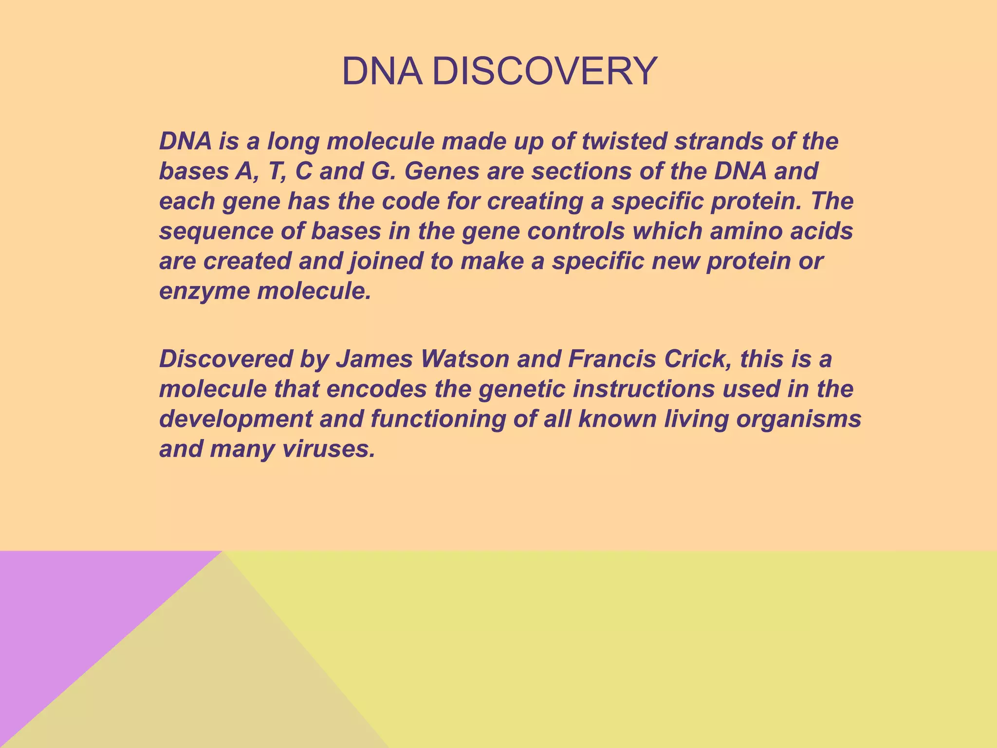 DNA DISCOVERY
DNA is a long molecule made up of twisted strands of the
bases A, T, C and G. Genes are sections of the DNA and
each gene has the code for creating a specific protein. The
sequence of bases in the gene controls which amino acids
are created and joined to make a specific new protein or
enzyme molecule.
Discovered by James Watson and Francis Crick, this is a
molecule that encodes the genetic instructions used in the
development and functioning of all known living organisms
and many viruses.

 