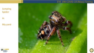 EVE198 Fall2020 "Covid Mass Testing" Class 1 Introduction