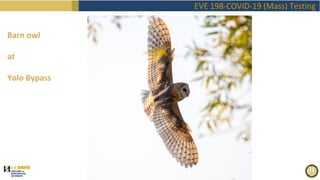 EVE198 Fall2020 "Covid Mass Testing" Class 1 Introduction