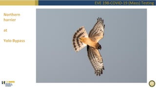 EVE198 Fall2020 "Covid Mass Testing" Class 1 Introduction