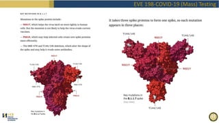 EVE 198-COVID-19 (Mass) Testing
 