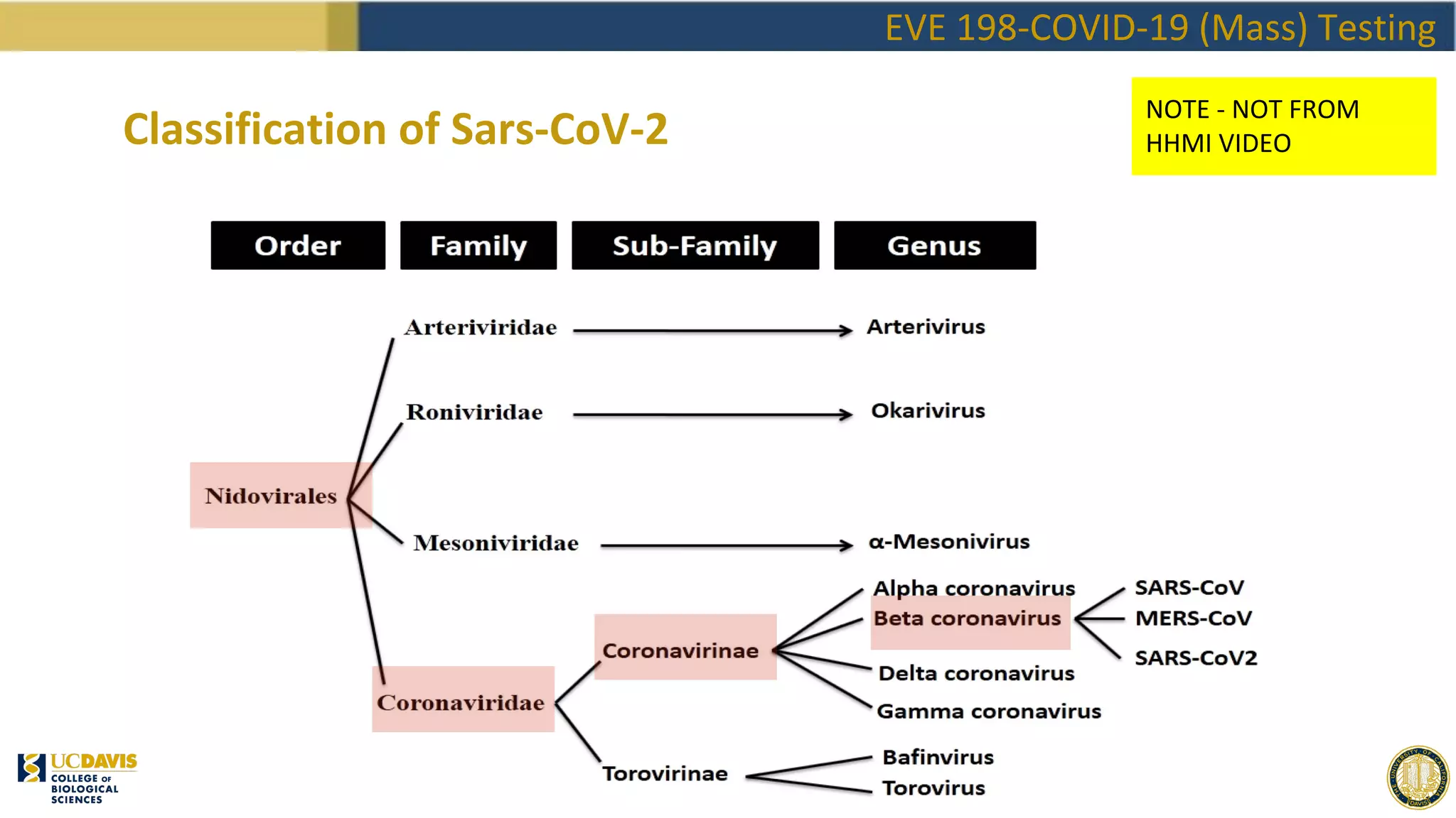EVE198 Winter2020 Class 3 - COVID Testing