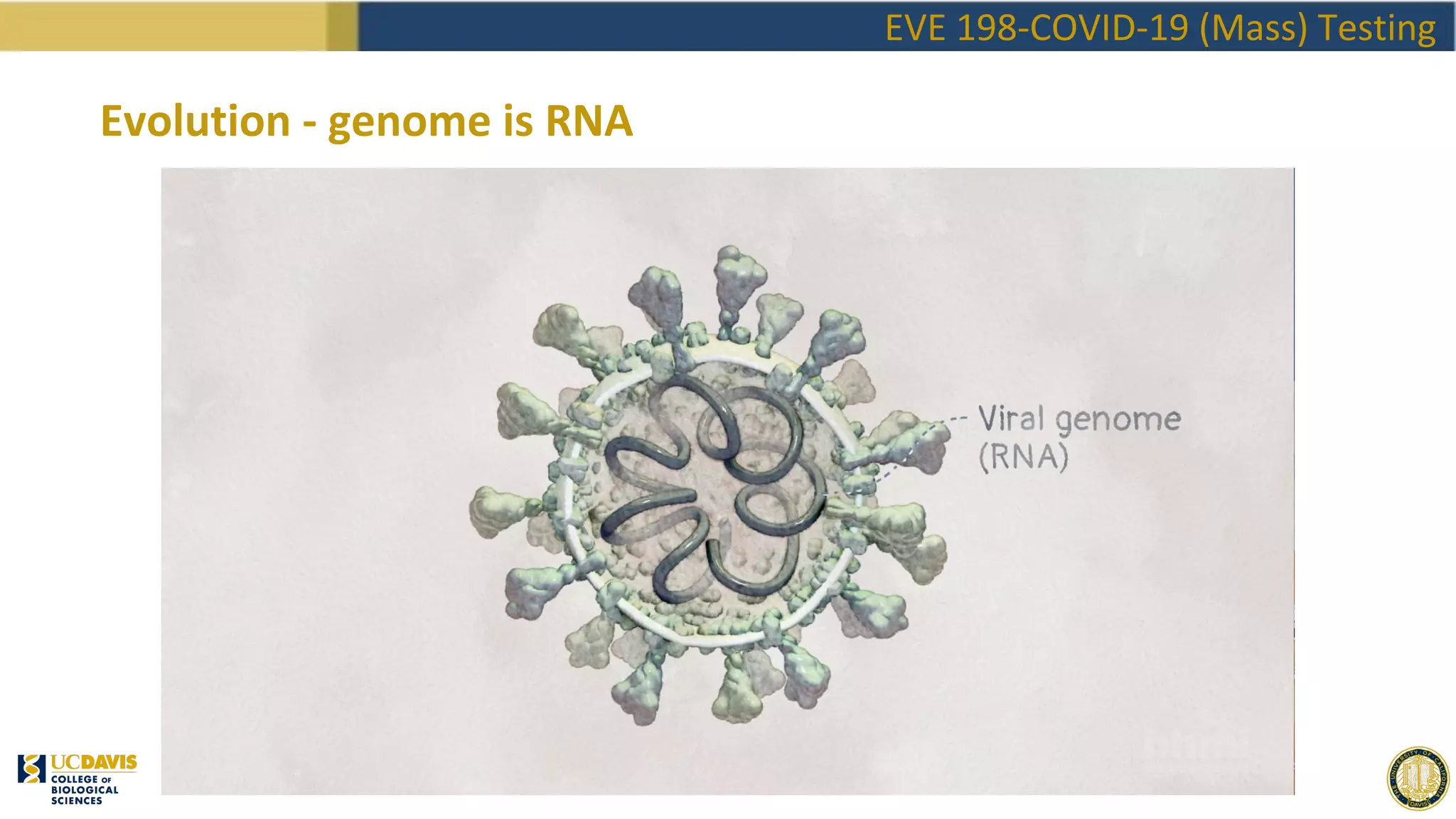 EVE198 Winter2020 Class 3 - COVID Testing