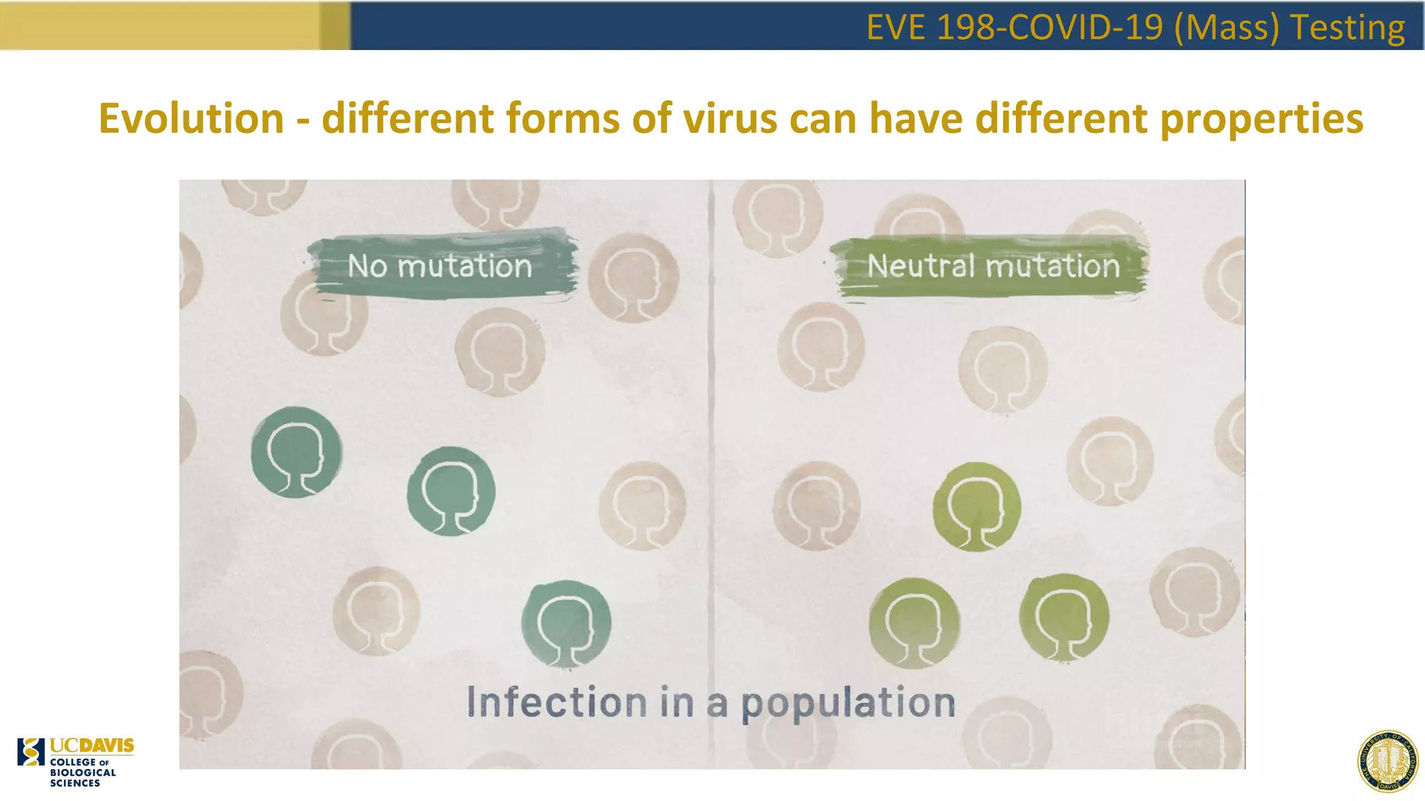EVE198 Winter2020 Class 3 - COVID Testing