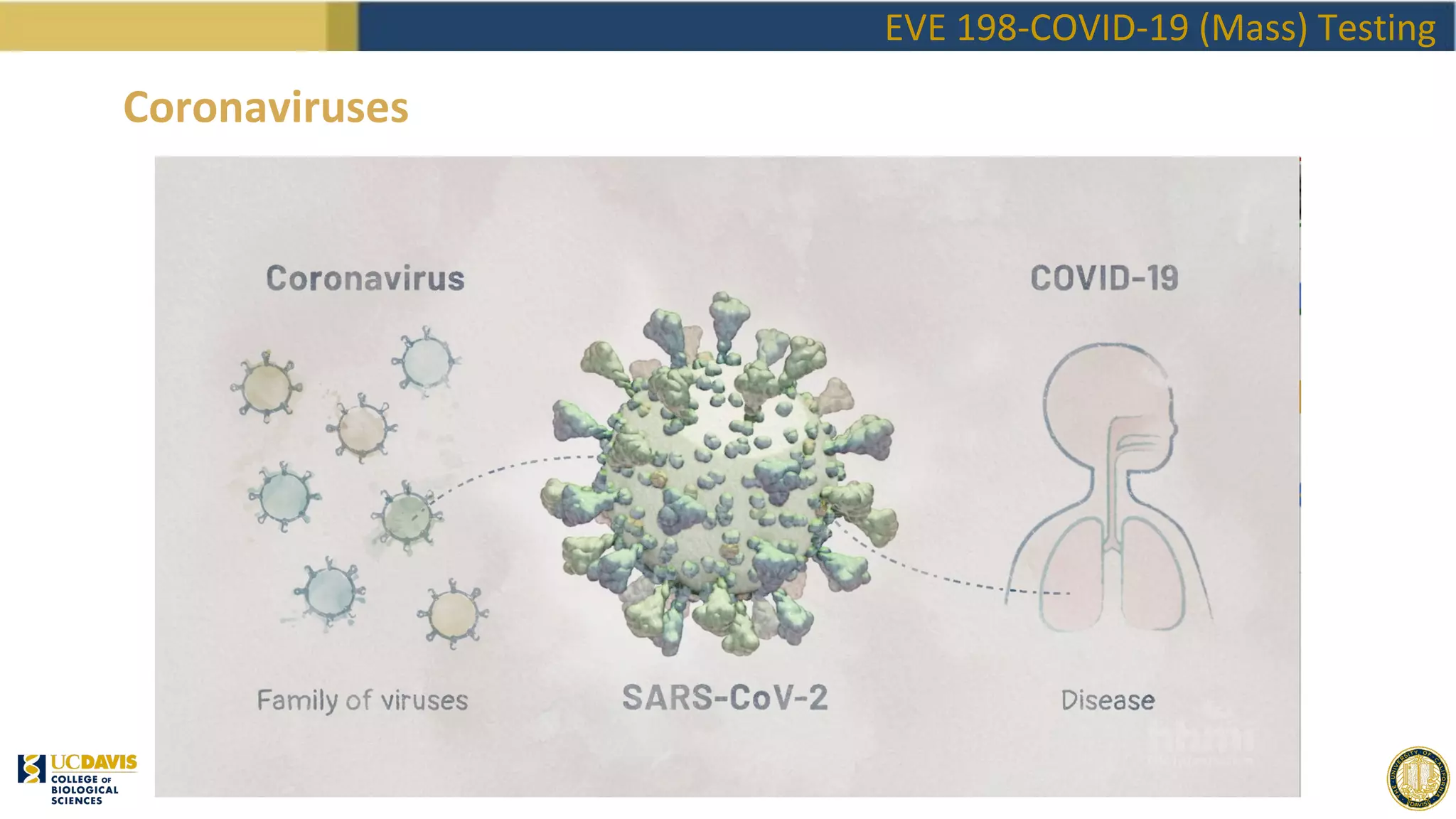 EVE198 Winter2020 Class 3 - COVID Testing