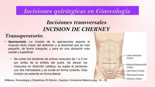 anatomia pared abdominal medicina obstetricia | PPTX