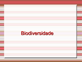 BiodiversidadeBiodiversidade
 