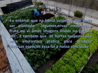 Conclusão
• Eu entendi que na horta suspensa que pode
  ser plantado      legumes,ervas medicinas,e
  fruta eu vi umas imagens lindas na garrafa
  pet . E também que as hortas suspensa são
  uma alternativa prática para produzir
  diversas espécies essa foi a nossa conclusão
 