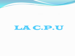 LA C.P.U
 