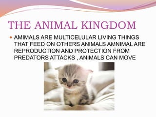 THE ANIMAL KINGDOM
 AMIMALS ARE MULTICELULAR LIVING THINGS
THAT FEED ON OTHERS ANIMALS AMNIMAL ARE
REPRODUCTION AND PROTECTION FROM
PREDATORS ATTACKS , ANIMALS CAN MOVE
 