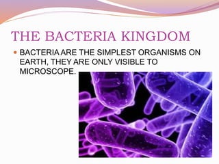 THE BACTERIA KINGDOM
 BACTERIA ARE THE SIMPLEST ORGANISMS ON
EARTH, THEY ARE ONLY VISIBLE TO
MICROSCOPE.
 