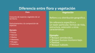 Diferencia entre flora y vegetación
Flora
Conjunto de especies vegetales de un
territorio.
Exclusivamente a la composición de
especies
Ejemplo:
Píceas
Alerces
Abetos
Abedules
Musgos
Helechos
Vegetación
Refiere a su distribución geográfica.
Sin referencia específica a
un taxón particular, formas de Vida,
estructura, extensión u otras
características
Ejemplo:
Bosque semideciduo.
Bosque lluvioso montano bajo.
Pastizal.
Bosque nublado.
 