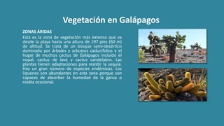 Vegetación en Galápagos
ZONAS ÁRIDAS
Esta es la zona de vegetación más extensa que va
desde la playa hasta una altura de 197 pies (60 m)
de altitud. Se trata de un bosque semi-desértico
dominado por árboles y arbustos caducifolios y el
hogar de muchos cactus de Galápagos incluido el
nopal, cactus de lava y cactus candelabro. Las
plantas tienen adaptaciones para resistir la sequía.
Hay un gran número de especies endémicas. Los
líquenes son abundantes en esta zona porque son
capaces de absorber la humedad de la garua o
niebla ocasional.
 