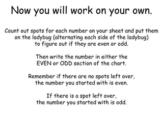 Now you will work on your own.
Count out spots for each number on your sheet and put them
on the ladybug (alternating each side of the ladybug)
to figure out if they are even or odd.
Then write the number in either the
EVEN or ODD section of the chart.
Remember if there are no spots left over,
the number you started with is even.
If there is a spot left over,
the number you started with is odd.
 