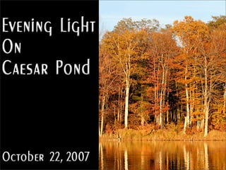 Evening Light On Caesar
Pond   


October 22, 2007