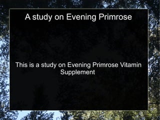 A study on Evening Primrose
This is a study on Evening Primrose Vitamin
Supplement
 