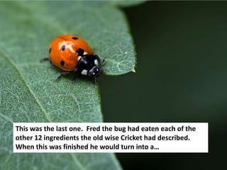This was the last one. Fred the bug had eaten each of the
other 12 ingredients the old wise Cricket had described.
When this was finished he would turn into a…
 
