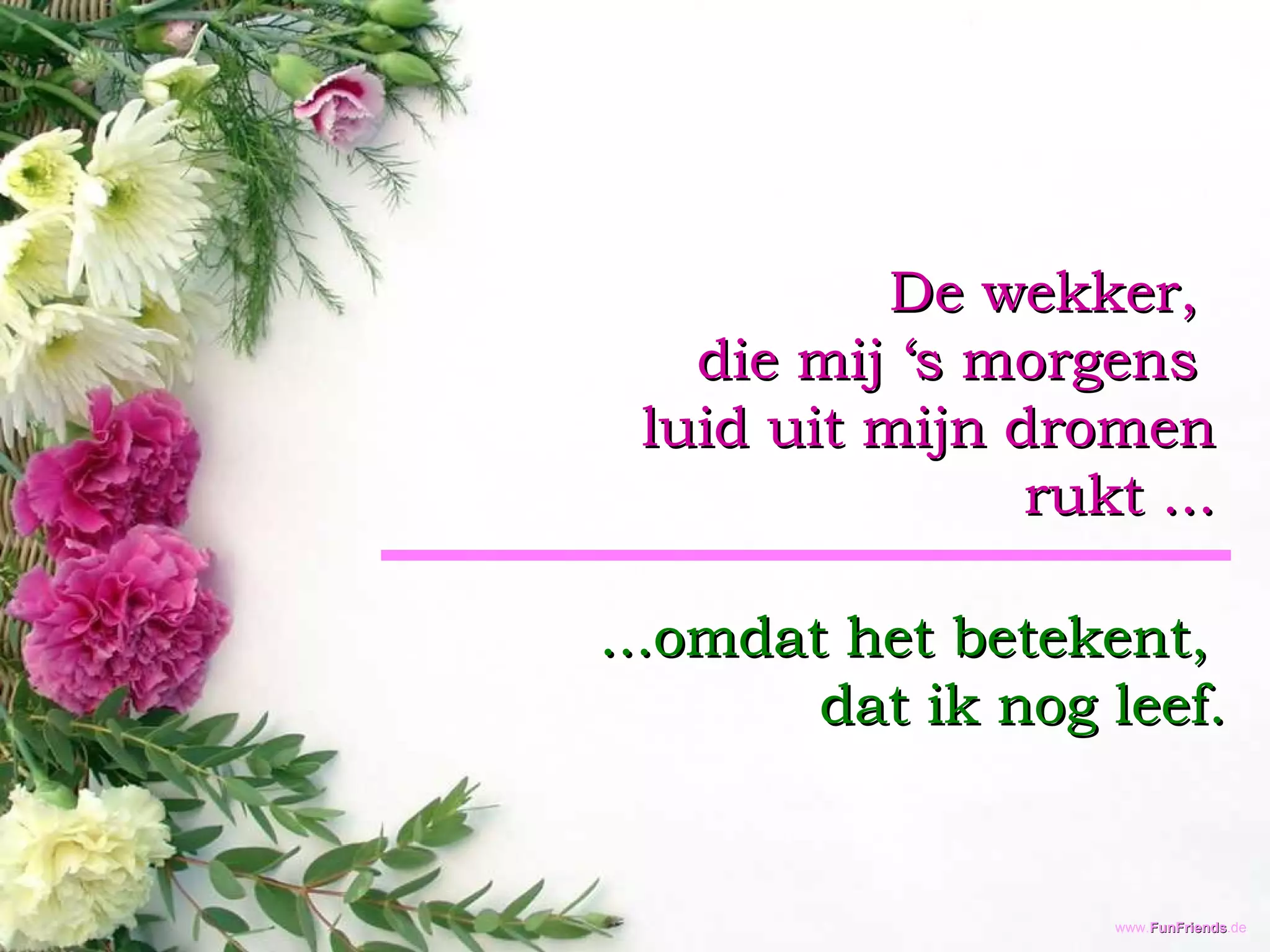 De wekker,  die mij ‘s morgens  luid uit mijn dromen  rukt ... ...omdat het betekent,  dat ik nog leef. 