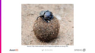 @allardbz
Source: http://www.sabisabi.com/images/DungBeetle-on-dung.JPG
 