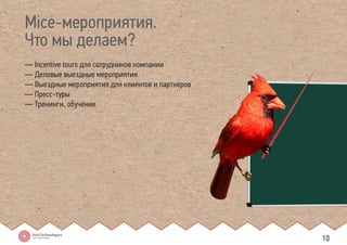 Mice-мероприятия. 
Что мы делаем? 
— Incentive tours для сотрудников компании 
— Деловые выездные мероприятия 
— Выездные мероприятия для клиентов и партнеров 
— Пресс-туры 
— Тренинги, обучение 
10 
 