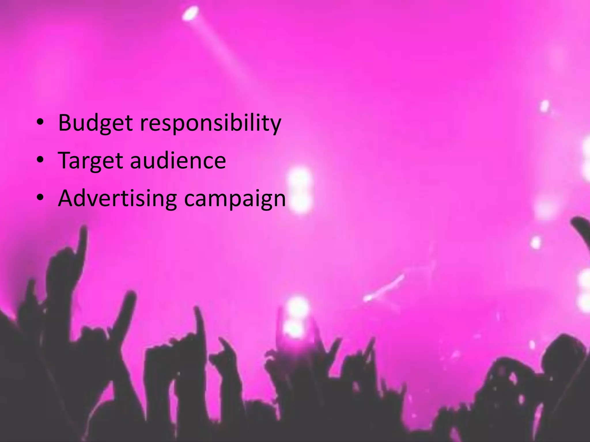 • Budget responsibility
• Target audience
• Advertising campaign
 