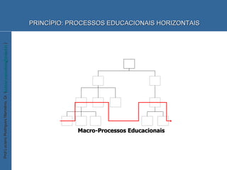 PRINCÍPIO: PROCESSOS EDUCACIONAIS HORIZONTAIS Macro-Processos Educacionais 