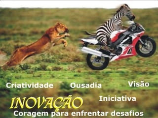 Criatividade Ousadia Iniciativa Coragem para enfrentar desafios Visão 