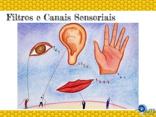 Filtros e Canais Sensoriais
 
