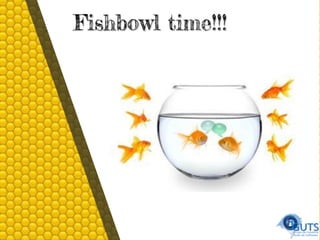 Fishbowl time!!!
 