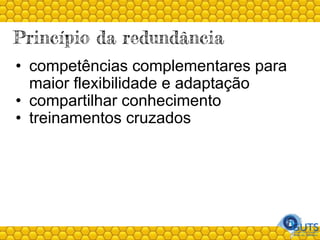 Princípio da redundância
• competências complementares para
maior flexibilidade e adaptação
• compartilhar conhecimento
• treinamentos cruzados
 