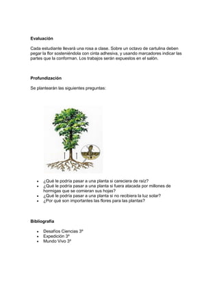 Evaluación

Cada estudiante llevará una rosa a clase. Sobre un octavo de cartulina deben
pegar la flor sosteniéndola con cinta adhesiva, y usando marcadores indicar las
partes que la conforman. Los trabajos serán expuestos en el salón.



Profundización

Se plantearán las siguientes preguntas:




      ¿Qué le podría pasar a una planta si careciera de raíz?
      ¿Qué le podría pasar a una planta si fuera atacada por millones de
      hormigas que se comieran sus hojas?
      ¿Qué le podría pasar a una planta si no recibiera la luz solar?
      ¿Por qué son importantes las flores para las plantas?



Bibliografía

      Desafíos Ciencias 3º
      Expedición 3º
      Mundo Vivo 3º
 