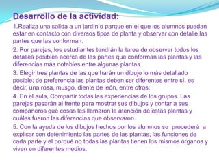 Desarrollo de la actividad:
1.Realiza una salida a un jardín o parque en el que los alumnos puedan
estar en contacto con diversos tipos de planta y observar con detalle las
partes que las conforman.
2. Por parejas, los estudiantes tendrán la tarea de observar todos los
detalles posibles acerca de las partes que conforman las plantas y las
diferencias más notables entre algunas plantas.
3. Elegir tres plantas de las que harán un dibujo lo más detallado
posible; de preferencia las plantas deben ser diferentes entre sí, es
decir, una rosa, musgo, diente de león, entre otros.
4. En el aula, Compartir todas las experiencias de los grupos. Las
parejas pasarán al frente para mostrar sus dibujos y contar a sus
compañeros qué cosas les llamaron la atención de estas plantas y
cuáles fueron las diferencias que observaron.
5. Con la ayuda de los dibujos hechos por los alumnos se procederá a
explicar con detenimiento las partes de las plantas, las funciones de
cada parte y el porqué no todas las plantas tienen los mismos órganos y
viven en diferentes medios.
 