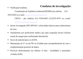 Condutas de investigação:Notificação imediata:
Coordenação de Vigilância Ambiental/SESMG por telefone (31)
3916-0382 ou e-mail: zoonoses@saude.mg.gov.br
CIEVS – por telefone (31) 9744-6983 (31)3235-5975 ou e-mail:
notifica.se@saude.mg.gov.br
Iniciar investigação (FIE SINAN) / coleta dados básicos para conhecimento
do caso;
Atendimento por profissional médico que após suspeição deverá solicitar
exame de sangue para confirmação laboratorial;
Envio do material para o LACEN;
Manutenção da 2ª via da FIE na Unidade para acompanhamento do caso e
complementação posterior de dados;
Possíveis deslocamentos nos últimos 15 dias – localidades e municípios
visitados (LPI);
 